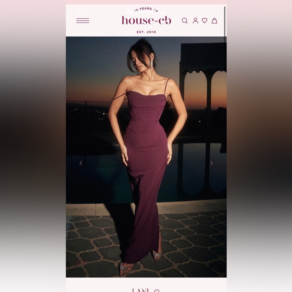 Brand new with tags! House of CB Lani Corset Dress